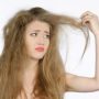 Уход за сухими волосами, полезные советы